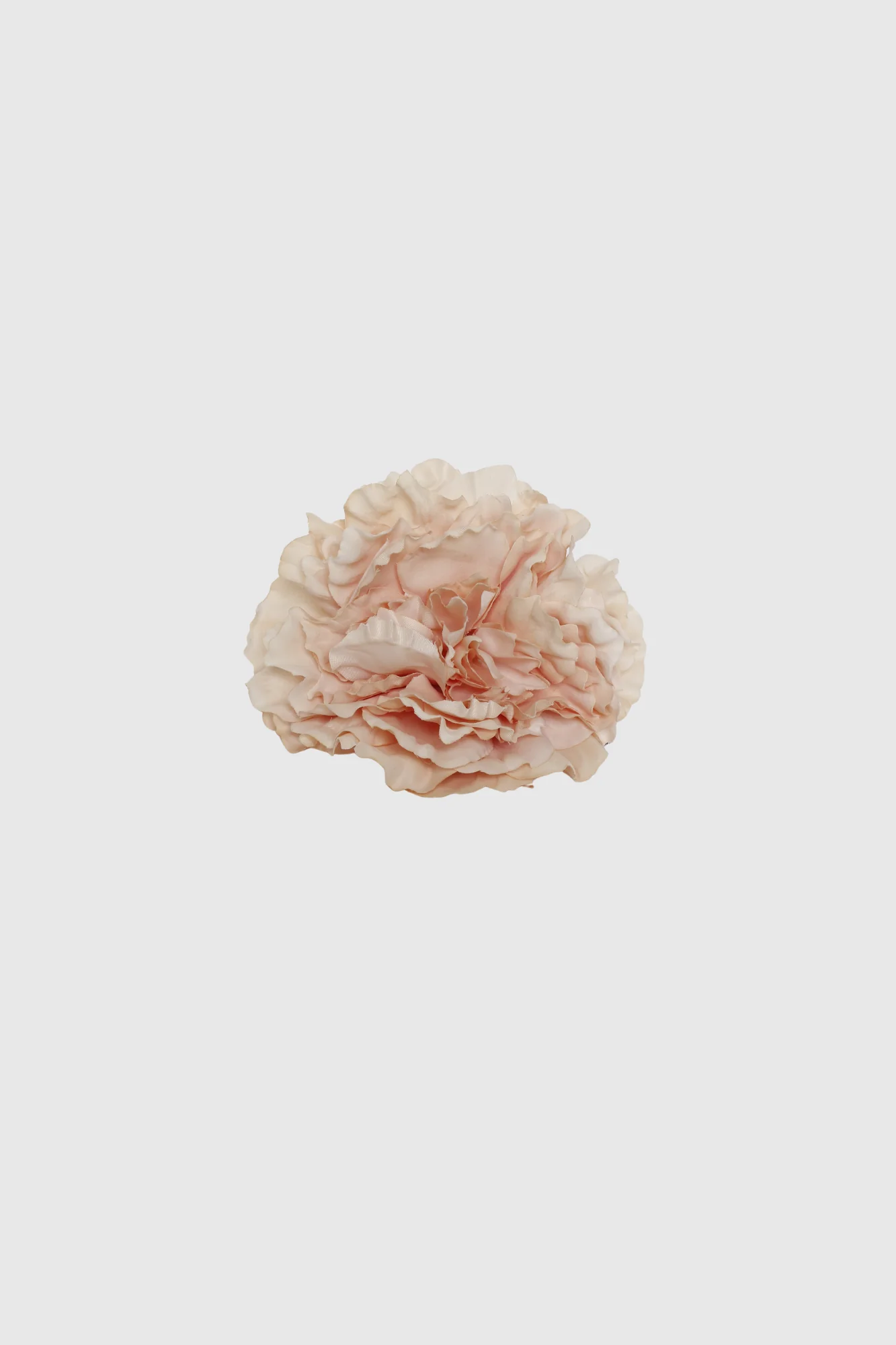 FLOR FLAMENCA - Image 3
